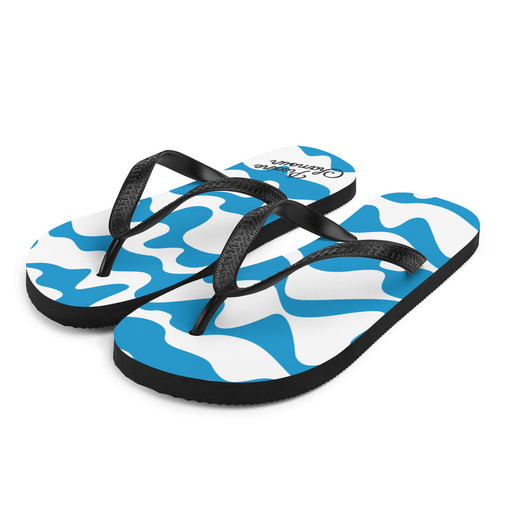 Piscine Chamoun, flip flops, Piscine Chamoun, 1960s, Matisse, bold print, blue 